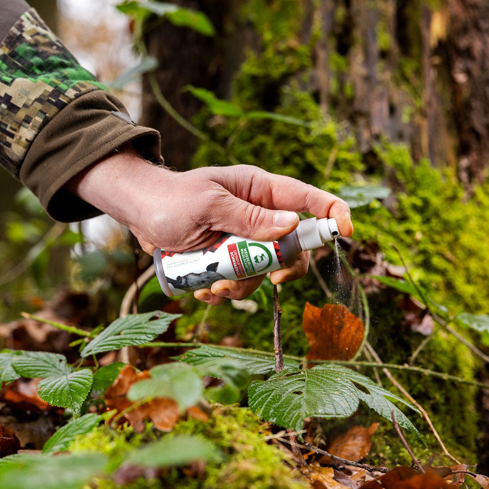 Urine odorant sanglier 100ml