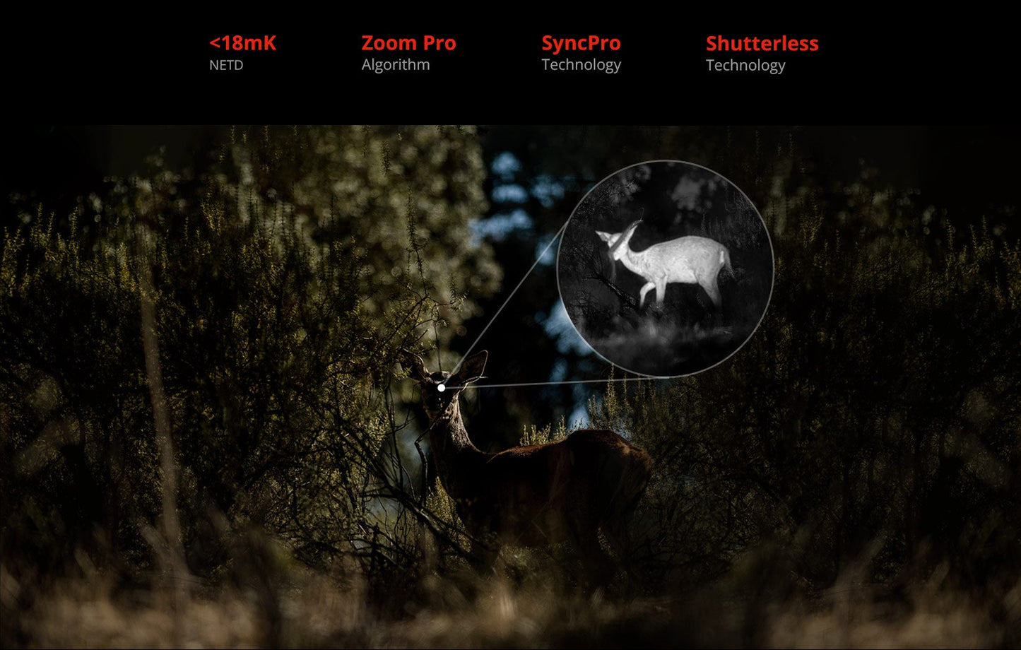 Hikmicro Habrok 4K HE25L 2.0 Quick-Switch