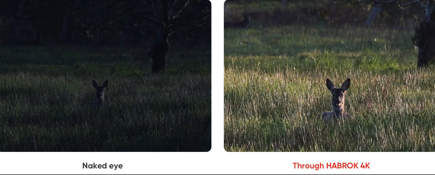 Hikmicro Habrok 4K HQ35L