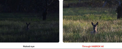 Hikmicro Habrok 4K HQ35L