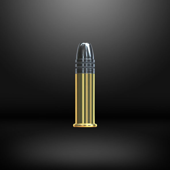 22 Long Riffle - HV HP